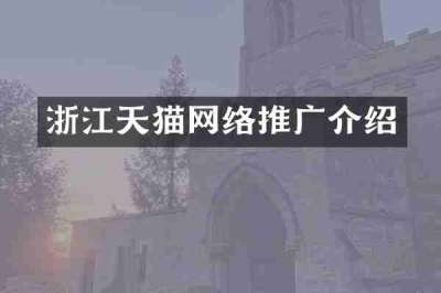 浙江天猫网络推广介绍