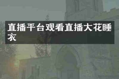 直播平台观看直播大花睡衣