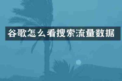 谷歌怎么看搜索流量数据