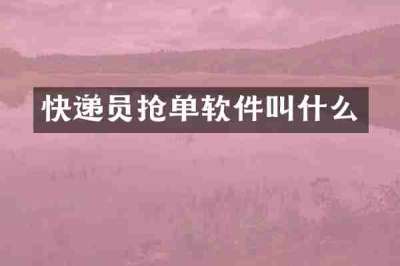 快递员抢单软件叫什么