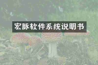 宏脉软件系统说明书