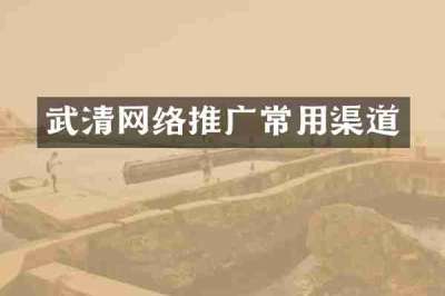 武清网络推广常用渠道