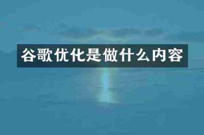 谷歌优化是做什么内容