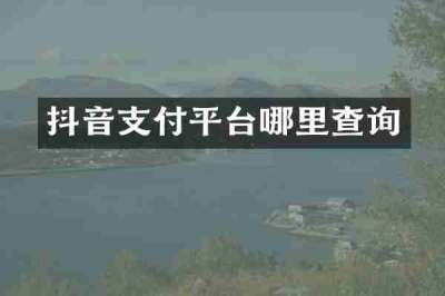 抖音支付平台哪里查询