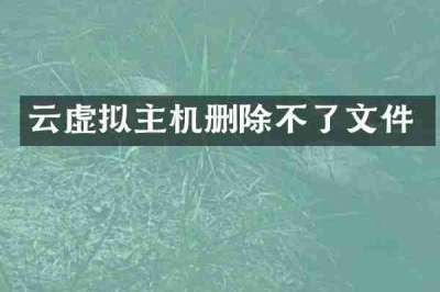 云虚拟主机删除不了文件