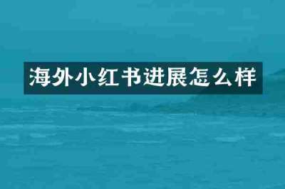 海外小红书进展怎么样
