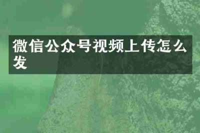 微信公众号视频上传怎么发