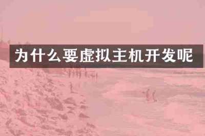 为什么要虚拟主机开发呢