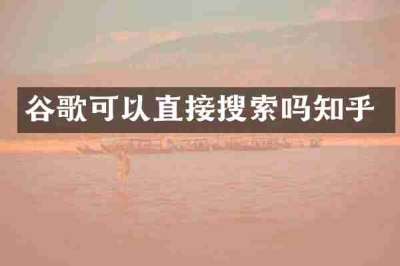 谷歌可以直接搜索吗知乎