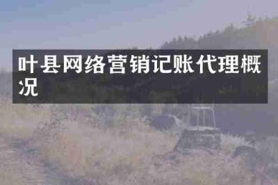 叶县网络营销记账代理概况