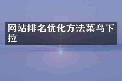 网站排名优化方法菜鸟下拉