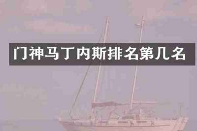 门神马丁内斯排名第几名