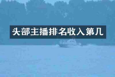 头部主播排名收入第几