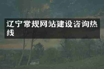 辽宁常规网站建设咨询热线