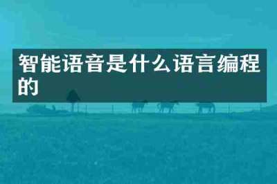智能语音是什么语言编程的