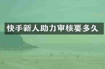 快手新人助力审核要多久