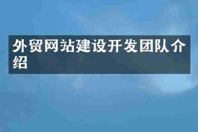 外贸网站建设开发团队介绍