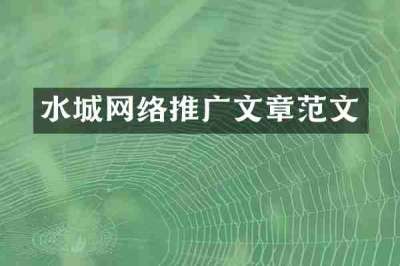 水城网络推广文章范文