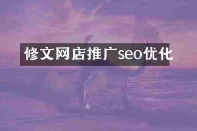 修文网店推广seo优化