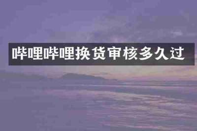 哔哩哔哩换货审核多久过