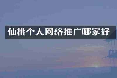 仙桃个人网络推广哪家好