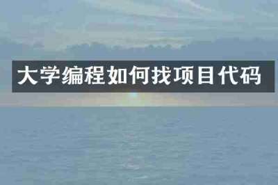 大学编程如何找项目代码