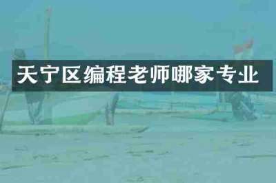 天宁区编程老师哪家专业