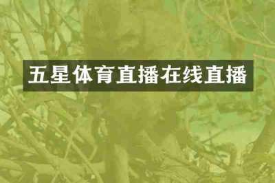 五星体育直播在线直播