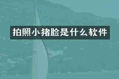 拍照小猪脸是什么软件