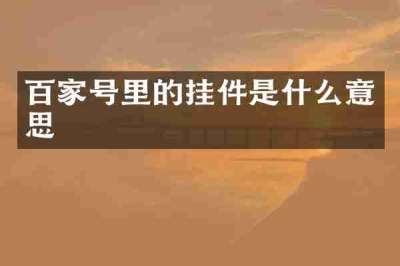 百家号里的挂件是什么意思