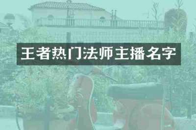 王者热门法师主播名字