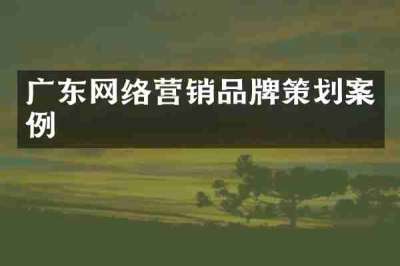 广东网络营销品牌策划案例