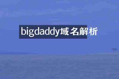 bigdaddy域名解析