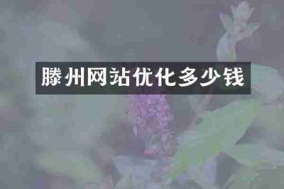滕州网站优化多少钱