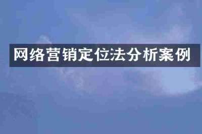 网络营销定位法分析案例