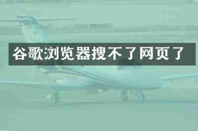 谷歌浏览器搜不了网页了