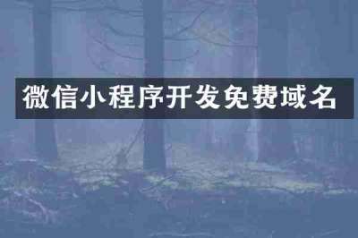 微信小程序开发免费域名
