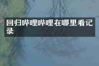 回归哔哩哔哩在哪里看记录