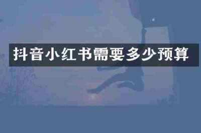 抖音小红书需要多少预算