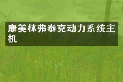 康美林弗泰克动力系统主机