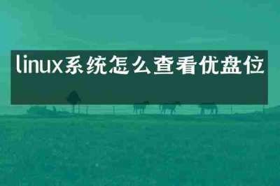 linux系统怎么查看优盘位置