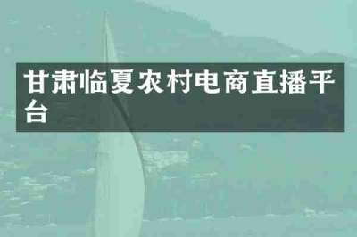 甘肃临夏农村电商直播平台
