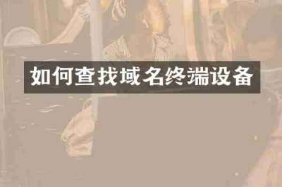 如何查找域名终端设备