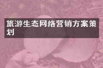 旅游生态网络营销方案策划