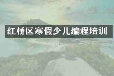 红桥区寒假少儿编程培训