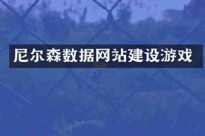 尼尔森数据网站建设游戏