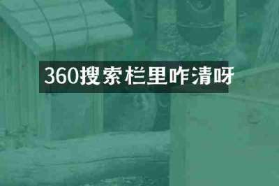 360搜索栏里咋清呀