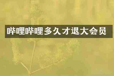 哔哩哔哩多久才退大会员