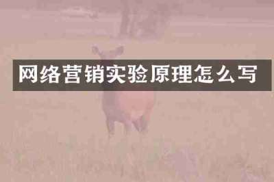 网络营销实验原理怎么写