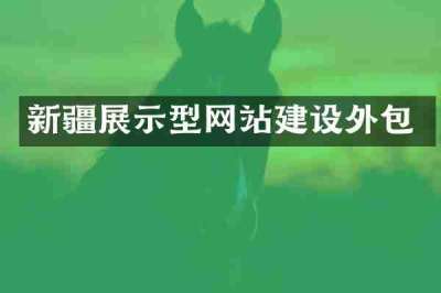 新疆展示型网站建设外包